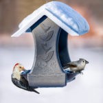 Mr. Canary Bird & Breakfast bird feeder in winter