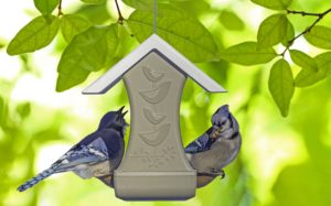 Blue jays eating from Mr. Canary Bird & Breakfast bird feeder