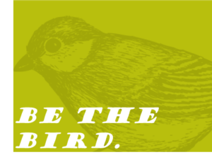 Be the Bird